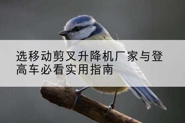 雷山电动升降机厂家-选移动剪叉升降机厂家与登高车必看实用指南