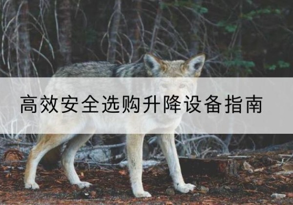 雷山升降货梯厂家推荐-*安全选购升降设备指南