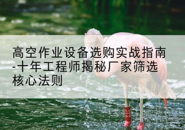 雷山剪叉式升降机厂家-高空作业设备选购实战指南-十年工程师揭秘厂家筛选核心法则
