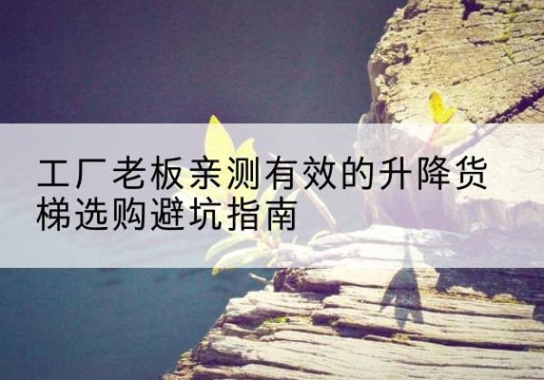 雷山升降货梯怎么选-工厂老板亲测有效的升降货梯选购避坑指南